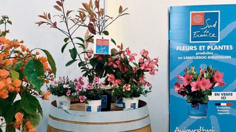 PHOTO : ANTOINE DARNAUD