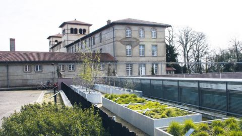 Le « pollinarium sentinelle » de Rennes (35) est installé dans le square Lucien-Rose.