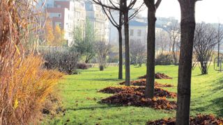 « La question de la place du jardin dans la ville appartient à tous. Plus nous serons nombreux à la poser, plus nous serons sûrs que demain, il y aura «plus de jardins dans ma ville» », assure le Pacte pour le jardin. De son côté, le Pacte végétal invite les collectivités à acheter les plantes près de chez elles. « La question de la place du jardin dans la ville appartient à tous. Plus nous serons nombreux à la poser, plus nous serons sûrs que demain, il y aura «plus de jardins dans ma ville» », assure le Pacte pour le jardin. De son côté, le Pacte végétal invite les collectivités à acheter les plantes près de chez elles.