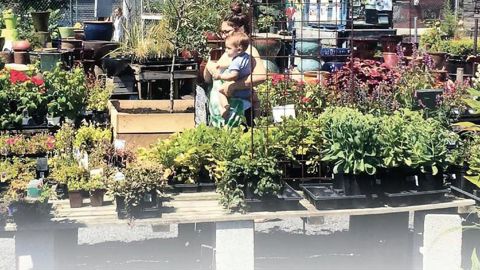 Les débats des journées techniques de l'Astredhor, qui se sont déroulées en janvier dernier sur le thème de l'agriculture urbaine, sont en ligne. Ils présentent les interventions de nombreux porteurs de projets.PHOTO : ASTREDHOR