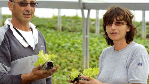 Les salariés de 49 ans et plus, avec un an d'ancienneté dans l'entreprise et cinq ans en agriculture, peuvent bénéficier d'un accompagnement pour mener un projet professionnel.PHOTO : JEAN PUYO - AREFA CENTRE