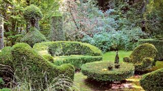 PHOTO : FRANCK BOUCOURT