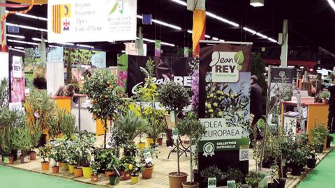 Les pépinières Jean Rey ont profité de leur présence au Salon du végétal pour parler d'avenir.