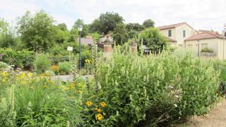 Saint-Benoît, dans la Vienne, est l'une des sept communes à avoir décroché la Fleur d'Or cette année. Saint-Benoît, dans la Vienne, est l'une des sept communes à avoir décroché la Fleur d'Or cette année.