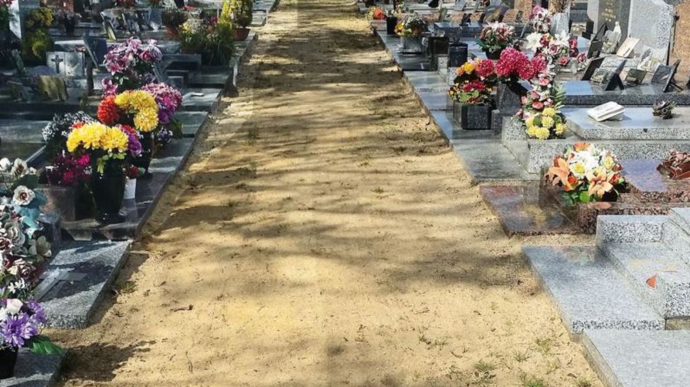 Une allée dégagée de ses plantes dans un cimetière de la ville du Mans (72).PHOTO : PATRICK PLESSIS