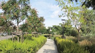 PHOTO : PASCAL FAYOLLE