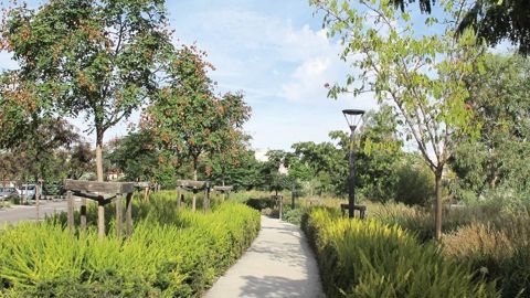 PHOTO : PASCAL FAYOLLE