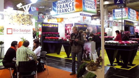 Les pavillons français étaient facilement repérables sur le salon IPM, l'un rassemblant six pépinières dans le hall 10 et l'autre, douze établissements horticoles dans le hall 2. Une vingtaine d'autres entreprises françaises exposaient indépendamment.