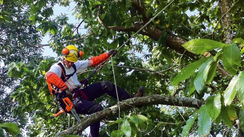 Au-delà de l'investissement dans des matériels, équipements et fournitures plus sûrs, moins bruyants..., le contrat de prévention prévoit la formation de ses personnels sur les équipements de sécurité et le travail en hauteur.PHOTO : LE LESTIN ÉLAGAGE