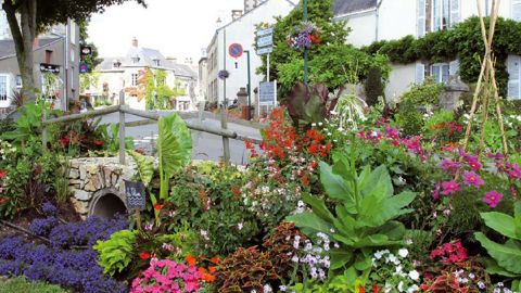 Quelle place pour l e végétal dans le fleurissement ? À Angers, producteurs, gestionnaires et décisionnaires vont en débattre.