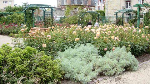 La nouvelle grille du concours national des villes et villages fleuris a été l'objet d'une table ronde lors du dernier Salon du végétal... L'occasion de présenter l'outil et d'en aborder les points les plus sensibles.PHOTO : PASCAL FAYOLLE