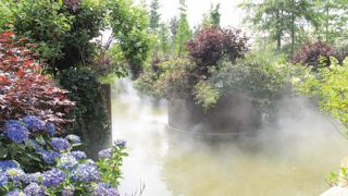 Terra Botanica lance cette année plusieurs nouveautés, parmi lesquelles un spectacle sur La Pérouse et une féerie des dahlias visible depuis une montgolfière. Terra Botanica lance cette année plusieurs nouveautés, parmi lesquelles un spectacle sur La Pérouse et une féerie des dahlias visible depuis une montgolfière.