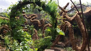 Jean-Philippe Poirée-Ville propose une réflexion originale sur la végétalisation verticale, plus écologique et économe que ce qui se fait aujourd'hui. Jean-Philippe Poirée-Ville propose une réflexion originale sur la végétalisation verticale, plus écologique et économe que ce qui se fait aujourd'hui.