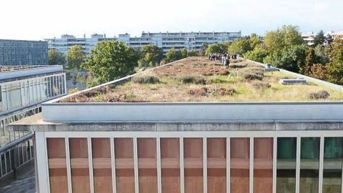 PHOTO : OLIVIER DAMAS