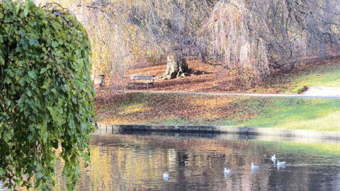 Le végétal et le paysage constituent des solutions aux problématiques actuelles humaines, financières, sociales et bien sûr environnementales, rappelle Val'hor.