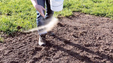 Un travail commun entre If Tech et Nova-Flore a permis à cette dernière entreprise d'intégrer à son catalogue quatre produits permettant d'optimiser la mycorhization des gazons, arbres et arbustes.PHOTO : NOVA FLORE