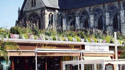 Du 16 au 18 septembre, la ville de Tours fêtera le fleurissement en recevant les 20es Assises régionales et les Carrés fleuris.PHOTO : SEVE TOURS