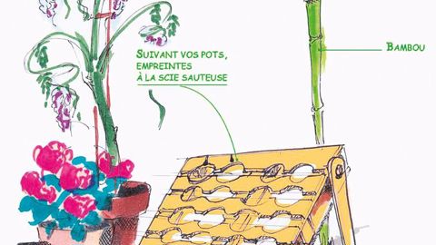 Économique et écologique, ce présentoir pour plantes se réalise avec une simple palette en bois.PHOTO : O. YVARD