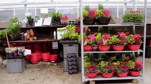 En 2011, selon le cabinet Plimsoll, moins de la moitié des producteurs se sont accaparés toute la croissance du marché français.PHOTO : VALÉRIE VIDRIL