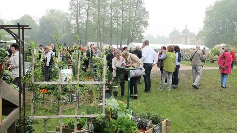 Les Journées des plantes de Chantilly ont accueilli 28 000 personnes sous le soleil malgré la fraîcheur matinale du week-end du 15 mai.