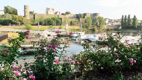 Après l'annonce du BHR concernant le déménagement du Salon du végétal à Nantes, la ville d'Angers cherche à garder la main et réfléchit à « un autre événement horticole en février 2017 ».
