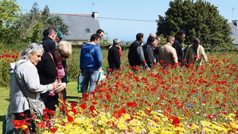 Cent trente professionnels ont répondu présent à l'occasion de la journée organisée par Hortalis au lycée horticole de Saint-Ilan, le 24 mai.PHOTO : HORTALIS