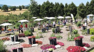 PHOTO : VALÉRIE VIDRIL