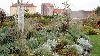 Chaque année, Nancy teste, près de ses serres de production, une palette végétale destinée à être mise en place dans la ville. Chaque année, Nancy teste, près de ses serres de production, une palette végétale destinée à être mise en place dans la ville.