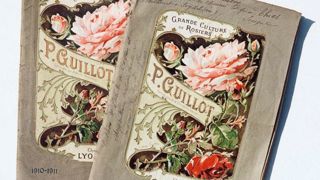 Les catalogues de 1910-1911 et 1920-1921 rassemblent les variétés que la maison Guillot proposait à ses clients. Les catalogues de 1910-1911 et 1920-1921 rassemblent les variétés que la maison Guillot proposait à ses clients.