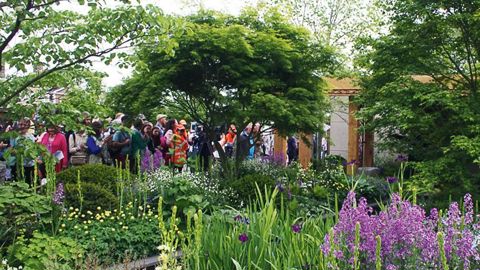 La météo clémente n'a fait que renforcer l'incroyable engouement pour les jardins éphémères de cette édition 2016.