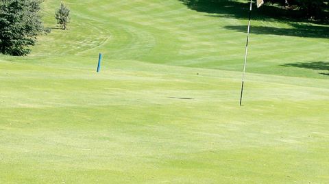 Les professionnels de l'entretien des gazons sportifs ont désormais rendez-vous tous les deux ans près de Paris pour un nouveau salon.