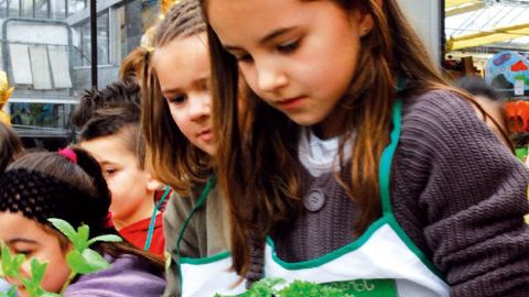 Cette année, la Semaine du jardinage aura pour thème le potager. Plus de 65 000 enfants devraient être accueillis dans 360 jardineries.PHOTO : GNIS/MISS'YL