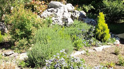 PHOTO : VALÉRIE VIDRIL