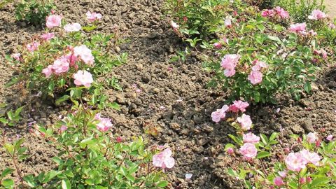 PHOTO : PASCAL FAYOLLE