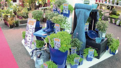 Les jeans de Cerdys : avec ce type de théâtralisation, le groupe veut aider les responsables de points de vente à jouer sur les codes de la mode. Pots et chromos sont déclinés dans le même ton que les floraisons.