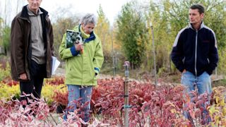 Contrôle phytosanitaire du Sral en pépinière ornementale.
