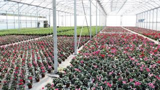 L'objectif de l'appel à projets Végépolys est, avec la mise en place de projets innovants collaboratifs, d'accélérer l'arrivée sur le marché d'innovations par les petites et moyennes entreprises.