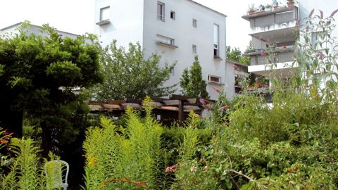 L'UPJ propose aux citoyens de signer sur Internet le pacte pour le jardin dans la cité. Une initiative qui va incontestablement dans le sens de la valorisation de la filière...