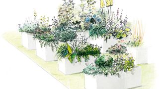 Le jardin conçu par Plantes et Cultures permettra de visualiser vingt-cinq collections et leur appauvrissement imaginable si l'uniformisation du marché se poursuit.PHOTO : PLANTES ET CULTURES Le jardin conçu par Plantes et Cultures permettra de visualiser vingt-cinq collections et leur appauvrissement imaginable si l'uniformisation du marché se poursuit.PHOTO : PLANTES ET CULTURES