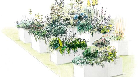 Le jardin conçu par Plantes et Cultures permettra de visualiser vingt-cinq collections et leur appauvrissement imaginable si l'uniformisation du marché se poursuit.PHOTO : PLANTES ET CULTURES