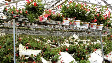 Les inondations de 2011 ont touché les mêmes établissements que celles de juin 2010 (ici, à la SCA Bury). La plupart des entreprises alors impactées ne s'étaient pas encore redressées...PHOTO : ODILE MAILLARD