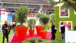 PHOTO : ODILE MAILLARD