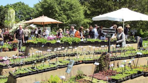 Chaque édition des Journées de Courson remporte toujours un vif succès, à l'instar de celle de printemps qui s'est déroulée du 16 au 18 mai dernier sous le soleil.