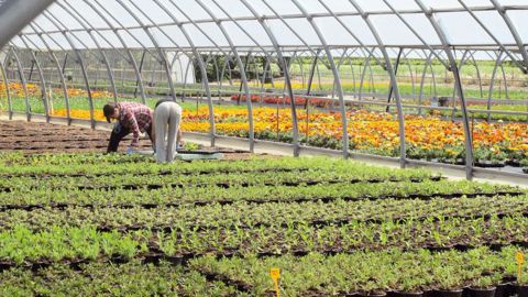 La charte invite à favoriser l'investissement local et l'emploi régional, et à contribuer au développement de l'économie locale.