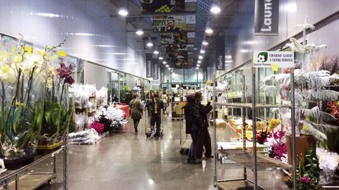 Le MIN de Toulouse (31) accueillera la prochaine édition d'Aquiflor le 15 septembre.PHOTO : AQUIFLOR