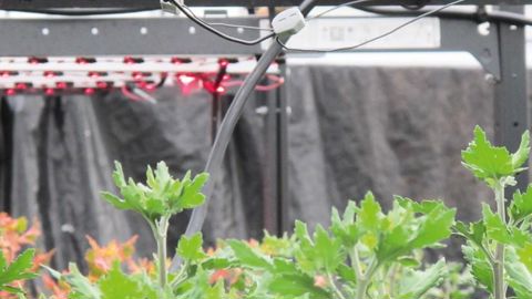 PHOTO : VALÉRIE VIDRIL