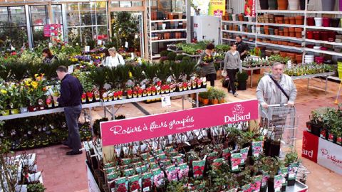 La jardineirie Delbard de Thiers (63) vient d'ouvrir ses portes début mars.