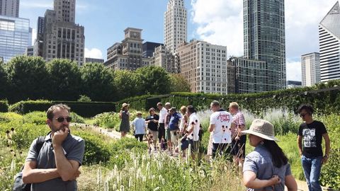 Les participants à la convention Fleuroselect ont découvert le Millenium Park, à Chicago, récemment rénové. Le Lurie Garden (notre photo) accueille des plantations de vivaces.PHOTO : FLEUROSELECT