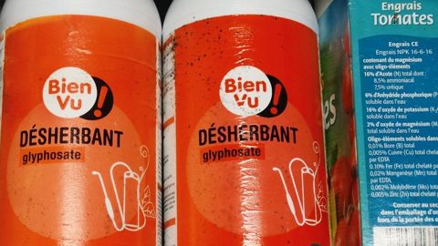 Les produits associant du glyphosate à du POEA vont être retirés du marché.