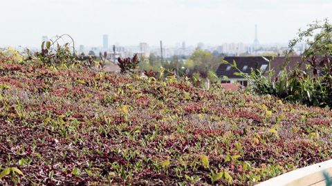 C'est dans la capitale que la Fédération nationale des producteurs de l'horticulture et des pépinières donne cette année rendez-vous à ses adhérents pour son congrès annuel. L'occasion de dresser le bilan des dernières années et d'élire un nouveau président...